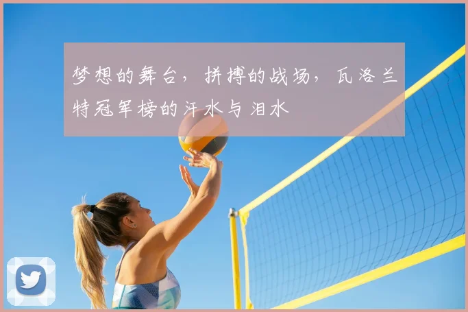 梦想的舞台,拼搏的战场,瓦洛兰特冠军榜的汗水与泪水