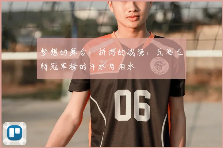 梦想的舞台,拼搏的战场,瓦洛兰特冠军榜的汗水与泪水